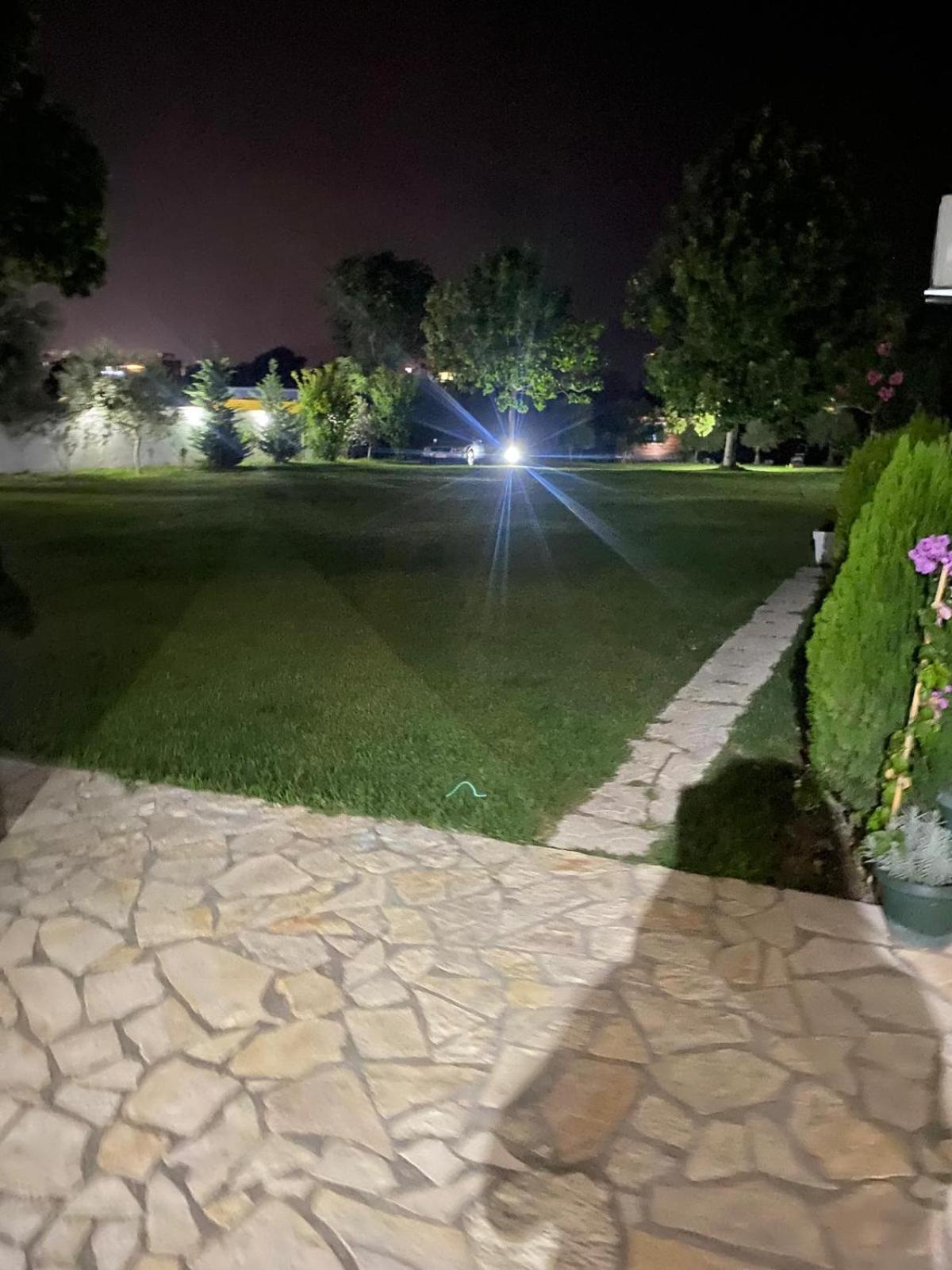 Apartments Vila Sara M Ulcinj Exteriör bild